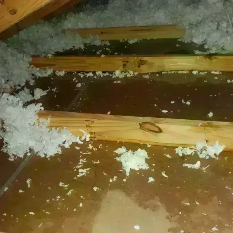 Attic Water Damage in Summerdale, AL