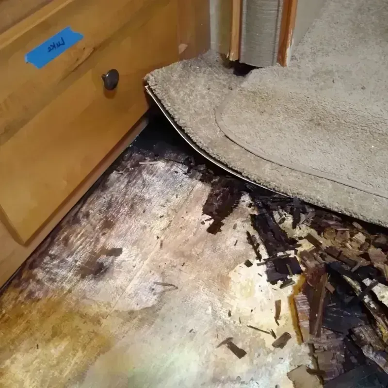 Wood Floor Water Damage in Summerdale, AL